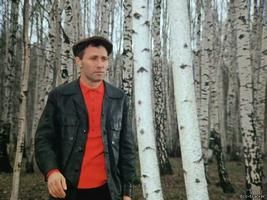 Василий Шукшин в фильме Калина Красная. Берёзки